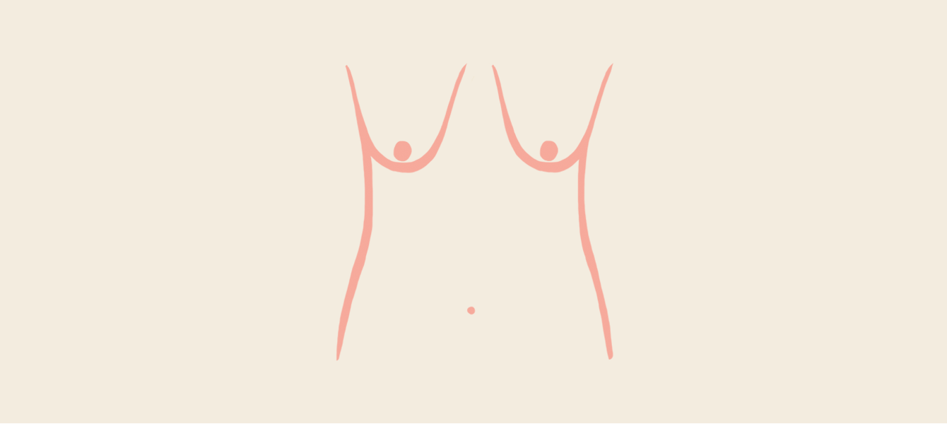 Thirdlove breast deals dictionary