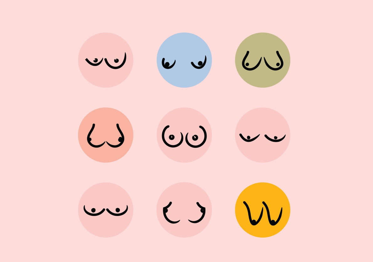 Woman Silhouettes With Different Breast Sizes From A To F. Female
