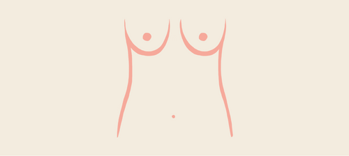 Slender Breasts